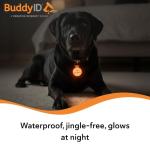 BuddyID BuddyBadge Silicone Pet Collar Tag with QR Code, Waterproof and Jingle-Free, Glow-in-The-Dark, Includes Lifetime Registration and Customizable Digital Profile, 1 Tag