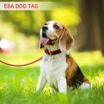 2 Pack Double-Sided ESA Dog ID Tags