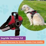 Joyride Harness Basic Essential Dog Harness 1.0 - Small, Medium, Large Dogs, No-Pull Pet Vest with 3 Side Rings for Leash Placement, Adjustable for Training (Red Rush, XS)