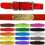 3/4" Waterproof D-Ring Dog Collar Adjustable Fit for Small & Medium Breeds | Custom 3/4" Brass Nameplate – Durable, Odor-Resistant, USA-Made (18", Teal)