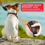 Dog Harness and Leash Set, No Pull Saddle Style Pet Harness, Breathable Mesh Adjustable Reflective Dog Vest for Dogs and Cat Medium Small Harness 2 D-Rings (Black, L)