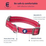 Blueberry Pet Essentials Reflective Dog Collar & Leash Set, Adjustable for Small Dogs | Safe Walking Gear for Pet Parents, Puppy Training & Daily Use SmallDogs, Very Berry
