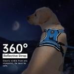 IVY&LANE No Pull Dog Harness for Medium Dogs, Dog Vest Harness with Leash, Safety Belt and Storage Strap, Fully Adjustable, 360° Reflective Strip, Soft Handle (Blue, M)