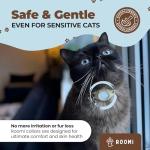 Hypoallergenic cat Collar with Breakaway Clasp, Bell & ID Tag. Compatible with Apple Airtag. Waterproof & Lightweight cat Collar with airtag Holder. Durable & Tear Resistant.