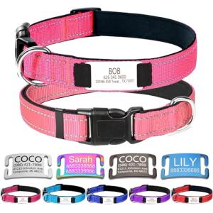 Personalized Dog Collars,Dog Collar with Engraved Name Plate ID Tags,Custom Reflective Adjustable Nylon Collar,Pet Collar for Small Medium Large Dogs,XL,Pink