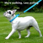 Personalized Martingale Collar for Dogs with Quick Release Buckle - Reflective Nylon Collar with Name and Phone Number for Small Medium Large Dogs