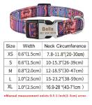 Moonpet Personalized Custom Customized Dog Collars with Leash Air/tag Holder Case Set with Engraved ID Name Plate Phone Number for Puppy X-Small Small Medium Large X-Large Boy Girl Dogs