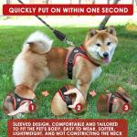 Dog Harness and Leash Set, No Pull Saddle Style Pet Harness, Breathable Mesh Adjustable Reflective Dog Vest for Dogs and Cat Medium Small Harness 2 D-Rings (Black, L)