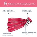 Blueberry Pet Essentials Reflective Dog Collar & Leash Set, Adjustable for Small Dogs | Safe Walking Gear for Pet Parents, Puppy Training & Daily Use SmallDogs, Very Berry