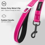 6 Foot Fuchsia Dog Leashes for Large Medium and Small Breed Dogs That Pull,Reflective Nylon Heavy Duty Dog Leash with 2 Comfortable Padded Traffic Handles and Car Seat Belt for Walking and Training