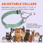 Dogline Biothane Martingale Dog Collar – Adjustable Waterproof Collar for Dogs with Herm Sprenger Assembly Chain – Fits Small, Medium & Large Dogs, L 11-15in x W 3/4in, Sage Green