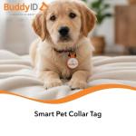 BuddyID BuddyBadge Silicone Pet Collar Tag with QR Code, Waterproof and Jingle-Free, Glow-in-The-Dark, Includes Lifetime Registration and Customizable Digital Profile, 1 Tag