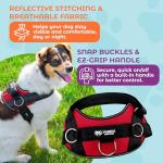 Joyride Harness Basic Essential Dog Harness 1.0 - Small, Medium, Large Dogs, No-Pull Pet Vest with 3 Side Rings for Leash Placement, Adjustable for Training (Red Rush, XS)