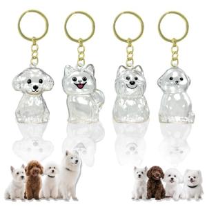 4 Pack Dog Hair Keychain | Set for pet - Keepsake Bottle to Preserve Fur | Memorial Gift for Pet, Pet Lover Accessory