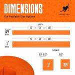 Regal Dog Products Biothane® Beta 520 Super Heavy - Orange - 3/4 Inch x 25 Feet Waterproof Dog Collar Strap