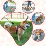 Dog Harness and Leash Set, No Pull Saddle Style Pet Harness, Breathable Mesh Adjustable Reflective Dog Vest for Dogs and Cat Medium Small Harness 2 D-Rings (Black, L)