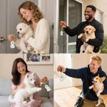 4 Pack Dog Hair Keychain | Set for pet - Keepsake Bottle to Preserve Fur | Memorial Gift for Pet, Pet Lover Accessory