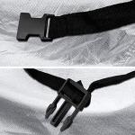 Titan Premium Compact Sedan Silver with Black Stripe