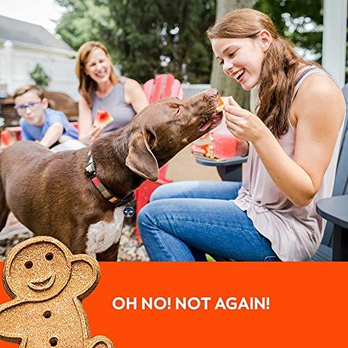 Peanut Butter Dog Treats for Love and Loyalty