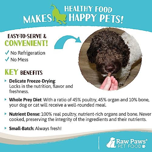 Raw Paws Freeze-Dried Chicken Dog & Cat Food