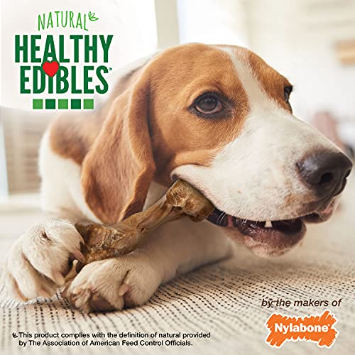 Nylabone Wild Bison All-Natural Dog Treats