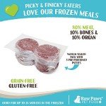 Raw Paws Beef Recipe Frozen Dog Food, 20 lb