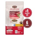 Rachael Ray Nutrish Real Beef Dry Dog Food 6 lb
