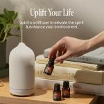 Organic Aromatherapy Essential Oils Set - Top 5