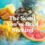 Bahama Breeze Large Scented Candle - 150 Hour Burn