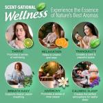 GuruNanda Essential Oil Blends Set (6x10ml)