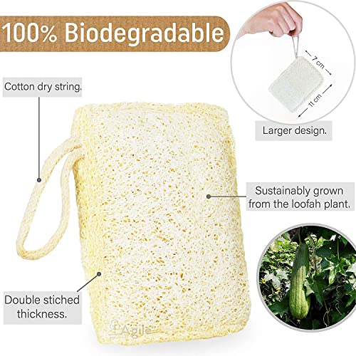 Wooden Dish Brush and Eco Sponge Cleaning Set