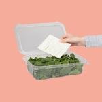 FRESHPAPER Keeps Fruits & Vegetables Fresh for 2-4x Longer, 8 Reusable Food Saver Sheets for Produce (1 Pack), Made in the USA by The FRESHGLOW Co