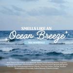 Cleancult Liquid Hand Soap Refill - Sea Minerals - Gentle On Sensitive Skin - Made with Aloe Vera & Essential Oils - Eco Friendly - Paper-Based Packaging - 32 oz/1 Pack