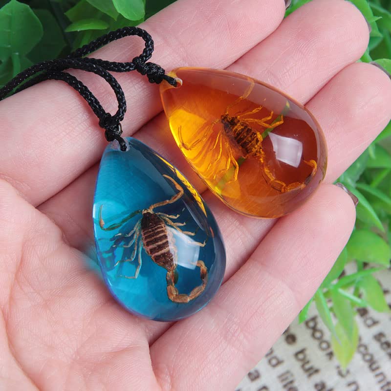 Insect Stone Amber Scorpion Pendant Necklace Set
