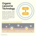 Vegan Hydrating Moisturizer for Dry, Sensitive Skin