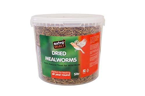 Extra Select Dried Mealworms Wild Bird Feed Treat, 5 Litre