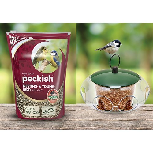 Peckish Nesting and Young Bird Seed Mix for Wild Birds, 2 kg with Small Bird Feeder Bundle