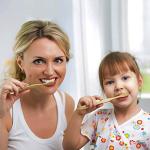 Eco-Friendly Cleaning Brushes for Sustainable Living