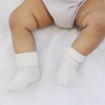 Woolino Baby Wool Socks from, Washable Merino Wool Toddler Children Socks, 2-4 Years, Cork (Pack of 3)