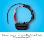 Garmin TT™ 15X Dog Tracking and Training Collar