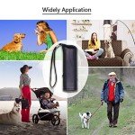 OYEFLY 3-in-1 Handheld Dog Trainer with Flashlight