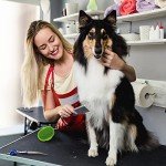 2-Pack Stainless Steel Dog Combs for Grooming