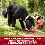 Grain-Free Chicken & Beef Wet Dog Food Cups