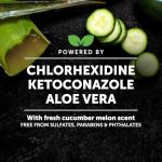 Chlorhexidine Itch Relief Shampoo for Dogs and Cats