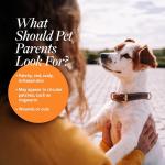 Antiseptic Antifungal Spray for Dogs and Cats