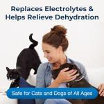 PetAg Pectillin Anti-Diarrheal for Dogs and Cats