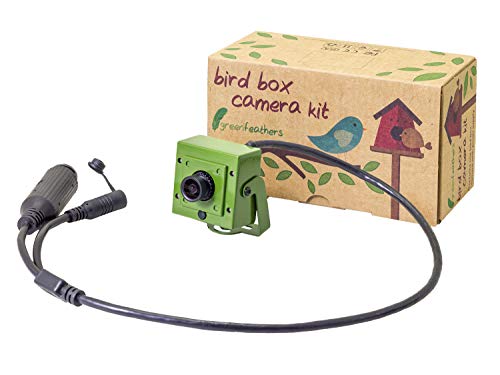 Green Feathers Wildlife HD 1080p IP PoE Bird Box Camera Power Over Ethernet with Mobile, PC and Tablet Access, PSU Not Included