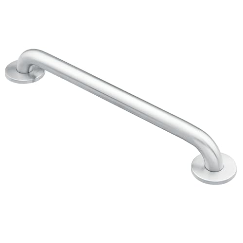 Stainless Steel 24-Inch Grab Bar for Safety