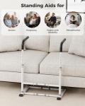 Couch Stand Assist Aid for Seniors and Elderly