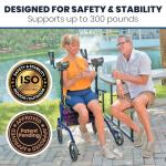 Vive Mobility Upright Walker for Seniors with Seat